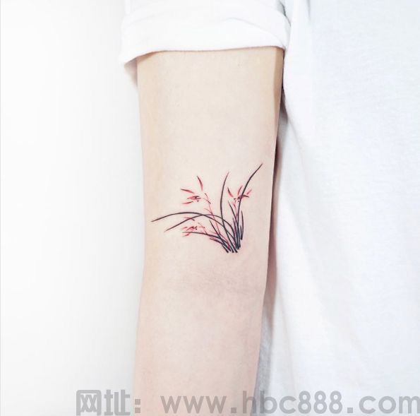 纹身后的注意事项及保养